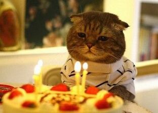 誕生日前に彼氏と喧嘩