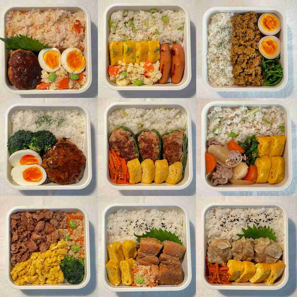 月の食費1万8000円で作った弁当に思わず目を疑う　豪華でバランスの良いおかずに「弟子入りしたい」