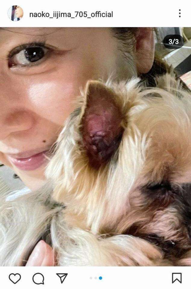 飯島直子「くびれはもうあきらめました」「ホクロはシミが大きくなった」正直すぎる投稿が反響