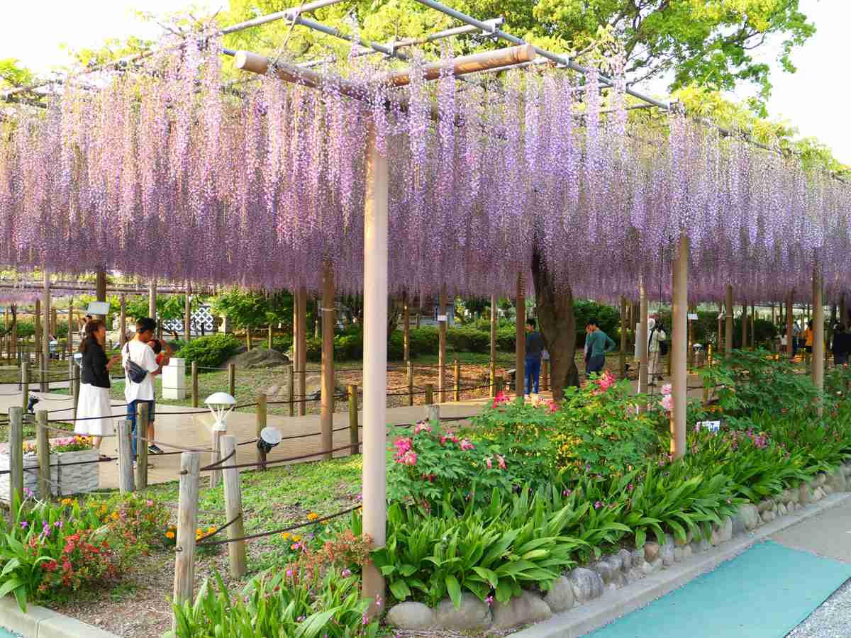 【身バレ注意】住んでいる街の一番有名な観光スポットは？