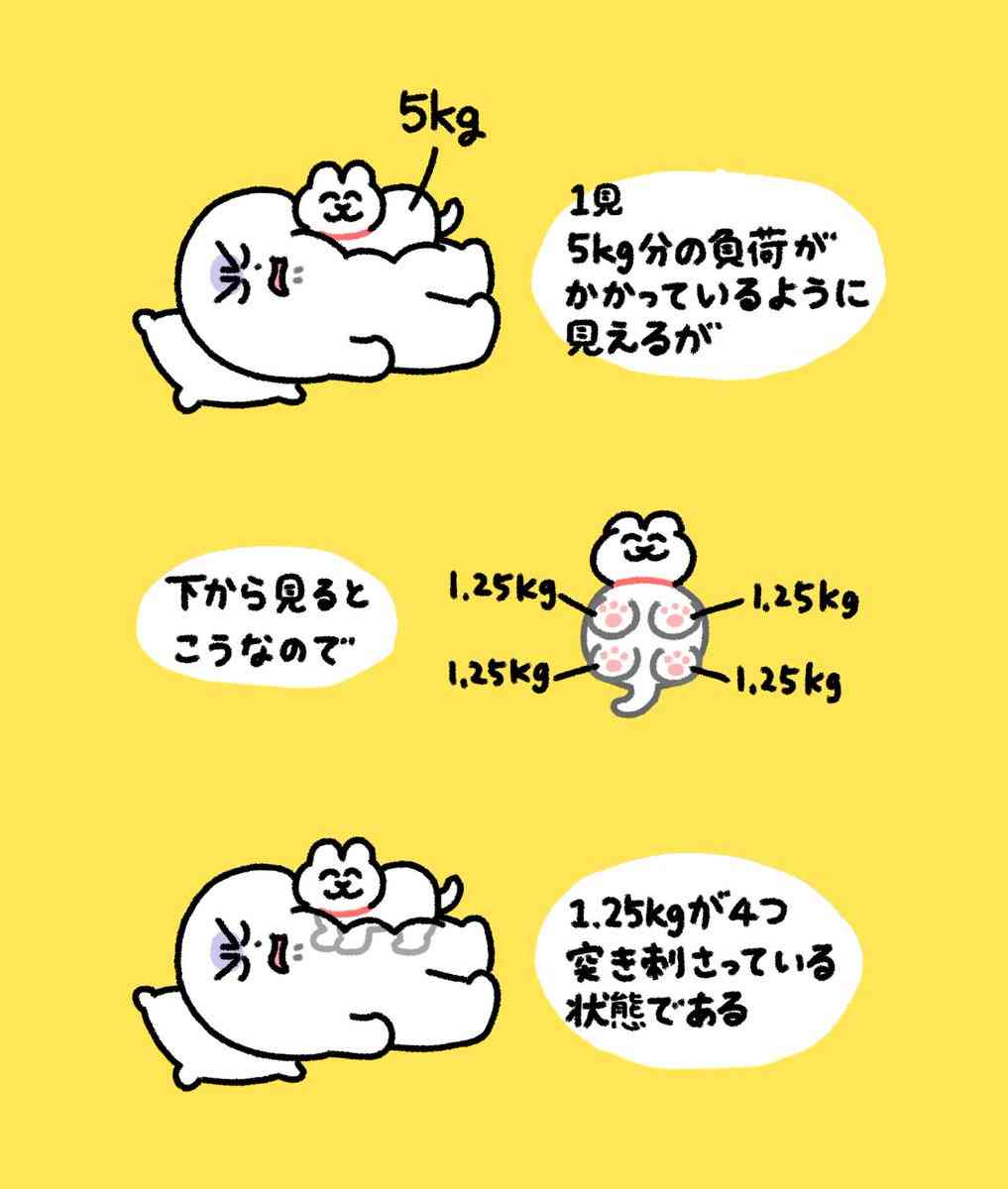 猫が人間の上に乗っているとき、面ではなく4点で"刺さってる"ときが一番つらい「早く位置決めて寝てくれ！」