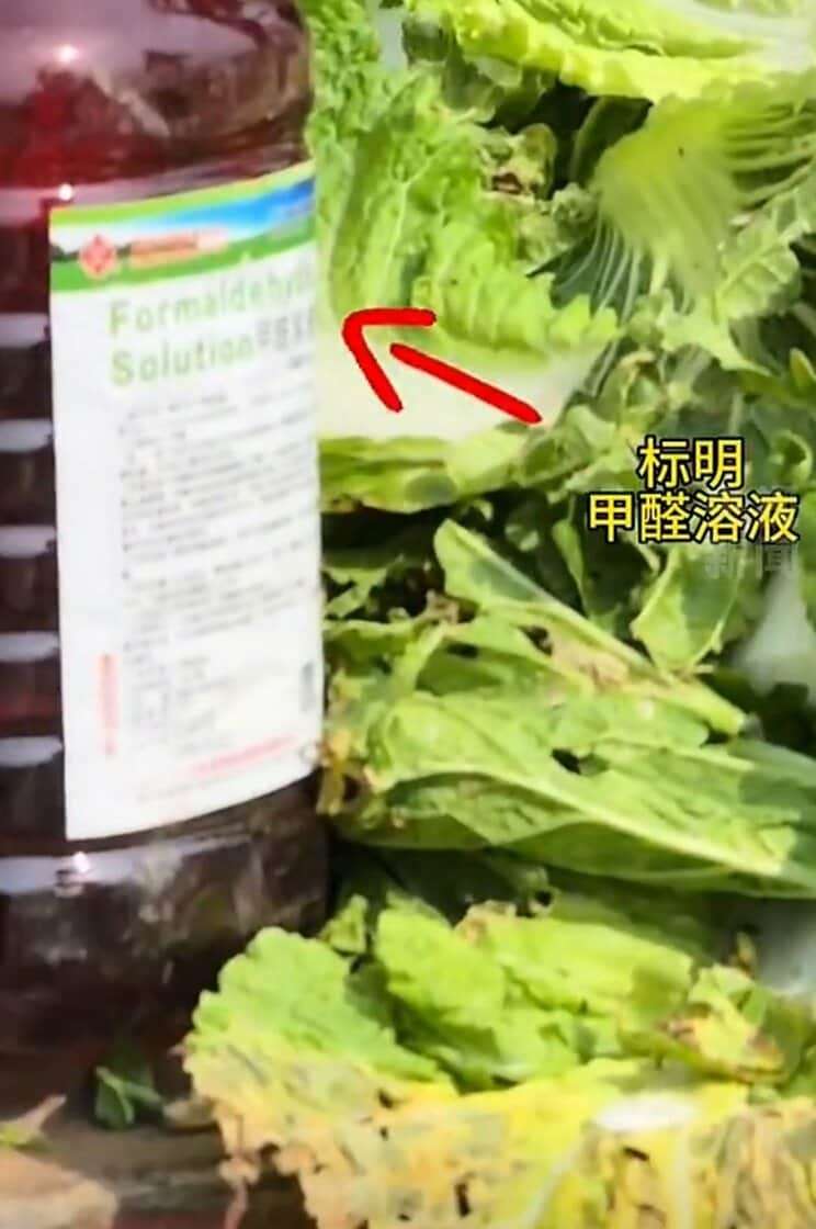 〈中国の発がん性物質つき白菜〉遺体保存用薬品まみれの野菜はどこへ？ キムチ用に大量輸入した韓国は大混乱、「対日輸出なし」もJA職員は「国産供給のチャンス」