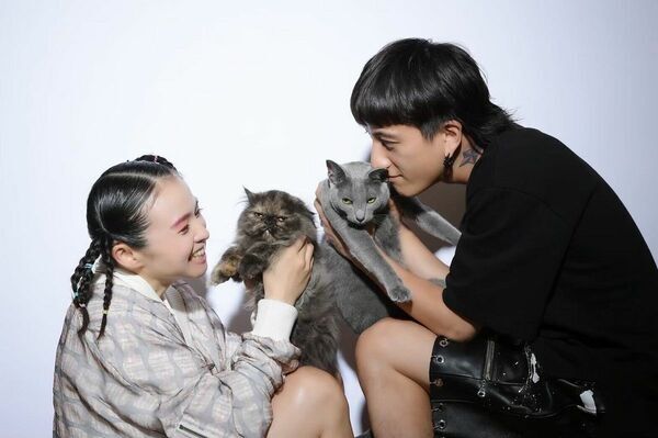 青木さやか「保護猫活動10年で思うこと。努力してもなかなか成果が…。超絶大金持ちになったとして、2億寄付する自分でいられるか？」