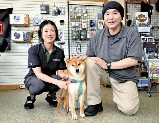 出雲大社の池でもがく迷子犬、見かけた新聞配達員が飛び込み救出…チラシ1000枚配った飼い主「思いが神様に届いた」