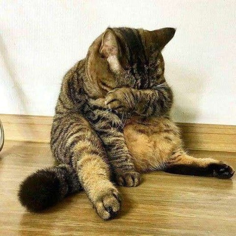 no title