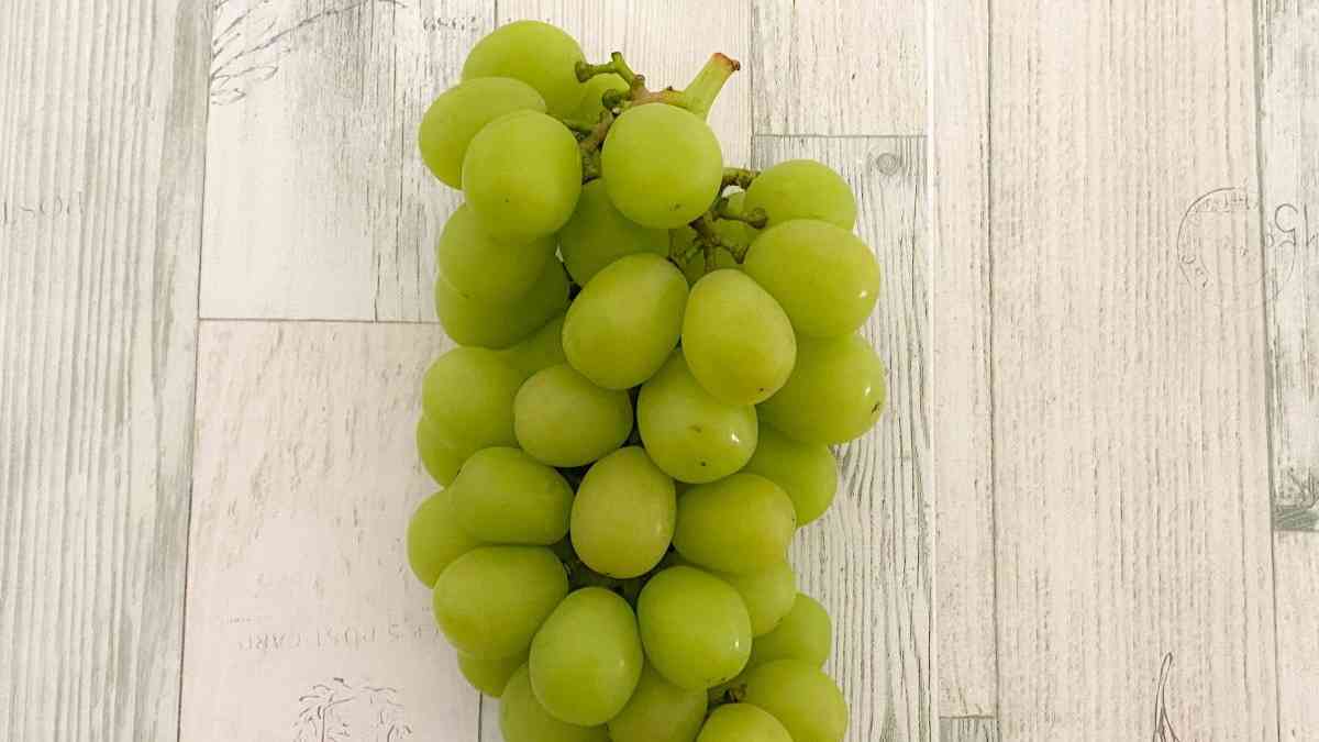 ハズレの「シャインマスカット」を買わない選び方。たった3つのコツを元スーパーの店員が解説