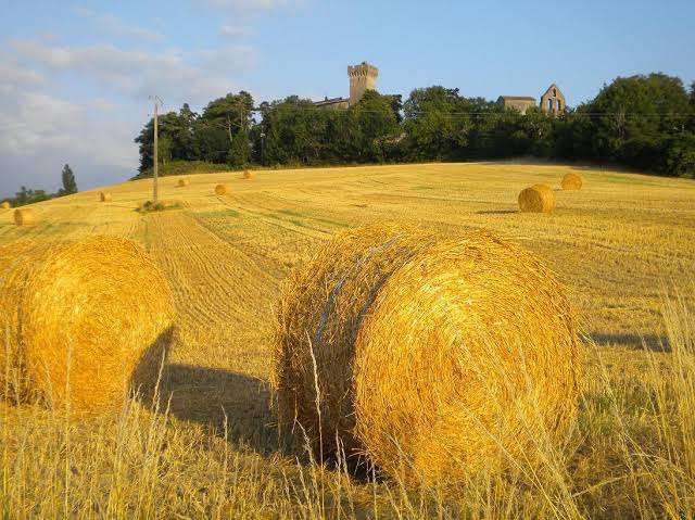 フランスについて知ってること