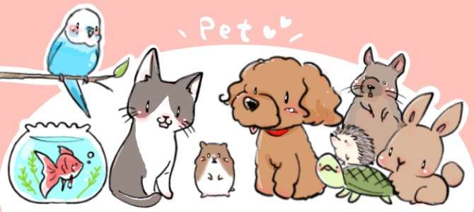 ペットを飼ってる人なら分かってくれそうなこと