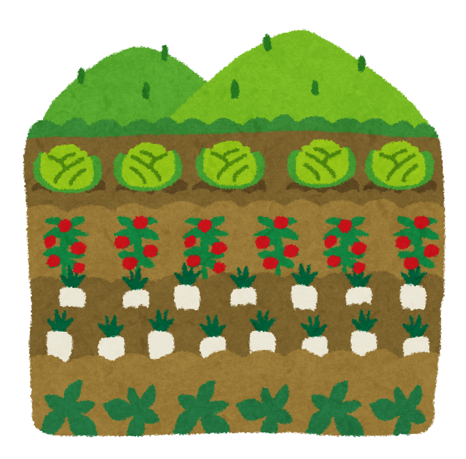 家庭菜園を語る