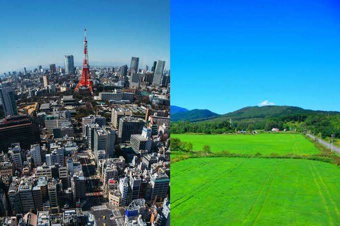 都会と田舎の両方に住んだことがある人だったら理解してくれそうなこと