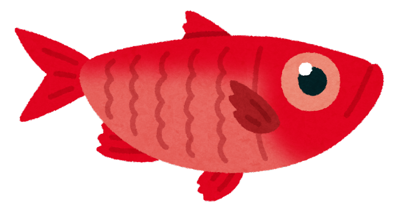 少しでも安く魚が食べたい