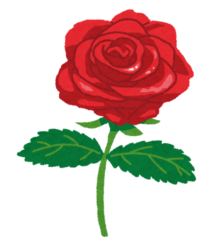 薔薇❧バラ❧rose❧ローズ