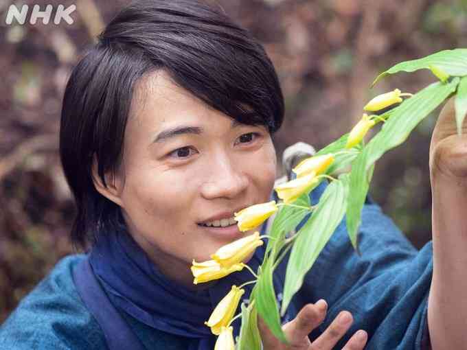 【朝ドラ】らんまん　第３週「ジョウロウホトトギス」