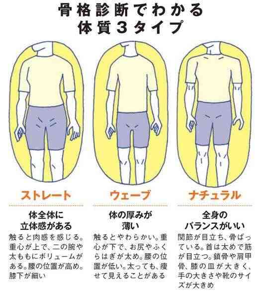 男性の好きな骨格タイプありますか？