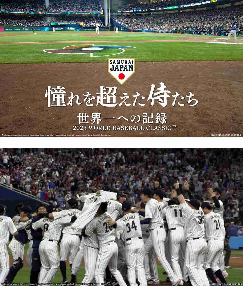 憧れを超えた侍たち 世界一への記録 【ネタバレあり】