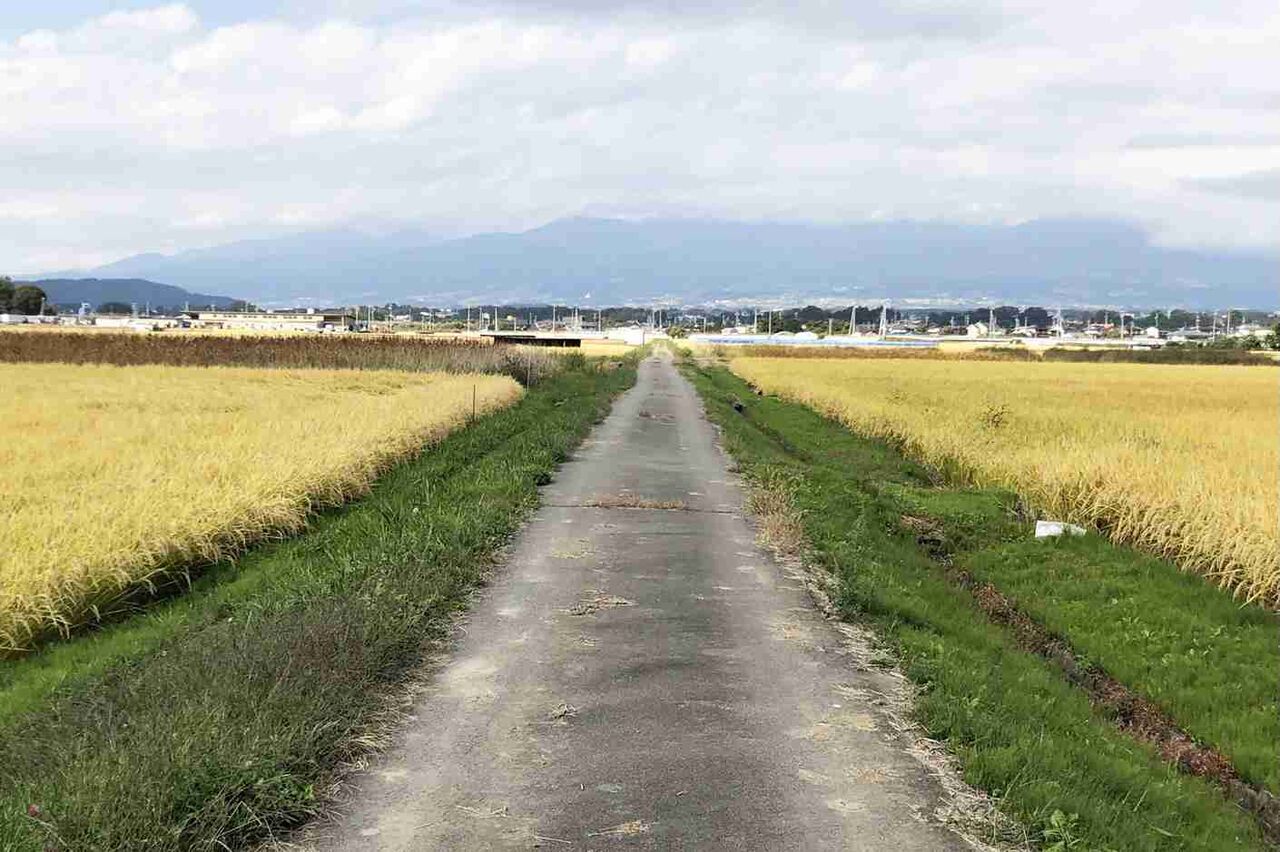 「OIOIが読めない」「スタバがない」…出身地をいじられて「うれしい」!?Z世代の“地方いじり”に迫る