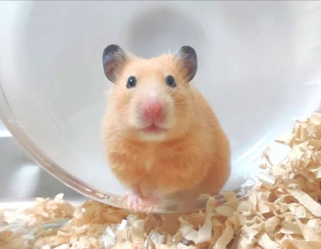 自分のこれって酷い？と思うこと