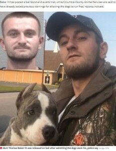 自転車に乗っていた11歳男児、ピットブル3頭に襲われ頭皮の70％を失う重傷（米）