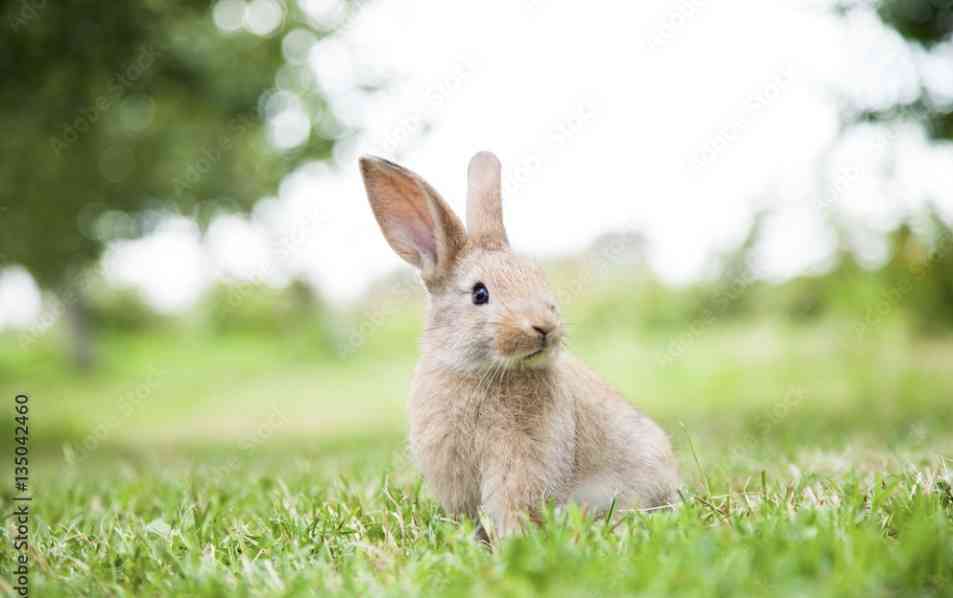 メンタルのお薬に助けられた！体験談