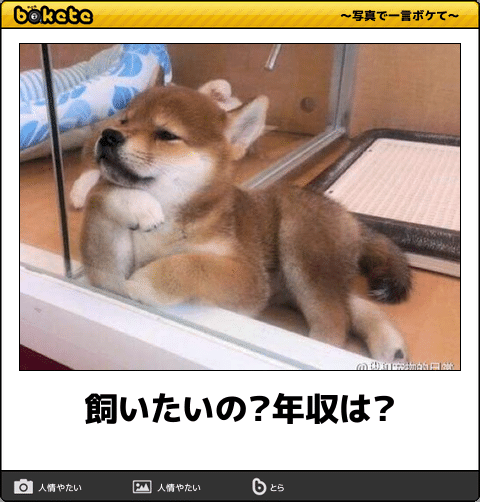 【2024年】boketeの貼り納めトピ