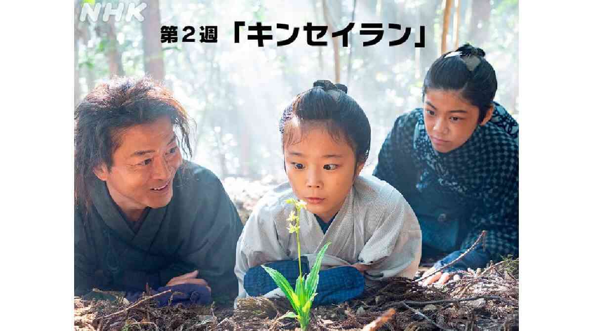 【朝ドラ】らんまん　第２週「キンセイラン」
