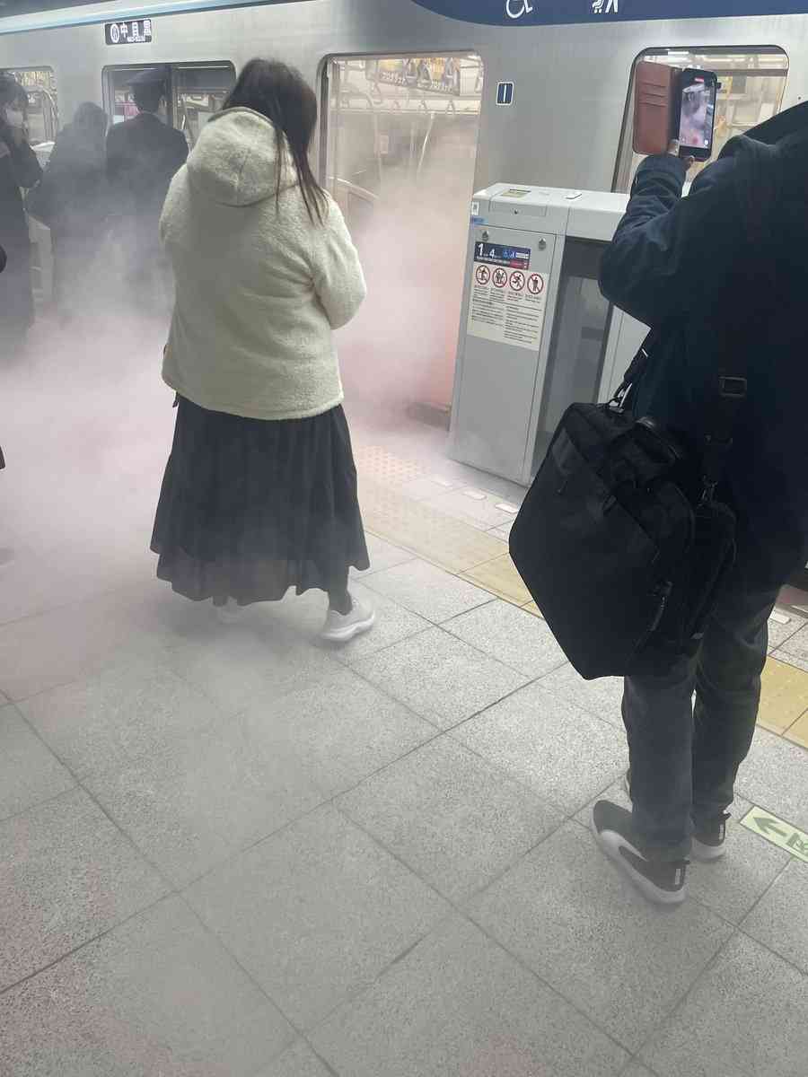 東京メトロ日比谷線車内でモバイルバッテリーから発火　一時運転見合わせ　駅員が消火器で消し止める