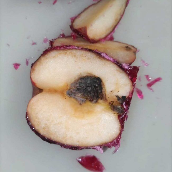 「二度と屋台では買わない」孫があわや…初詣“腐ったリンゴアメ”に怒り　ネットで共感続々