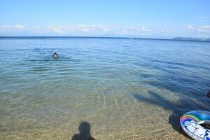 琵琶湖で遊泳、47歳女性が死亡　大津の近江舞子北浜水泳場