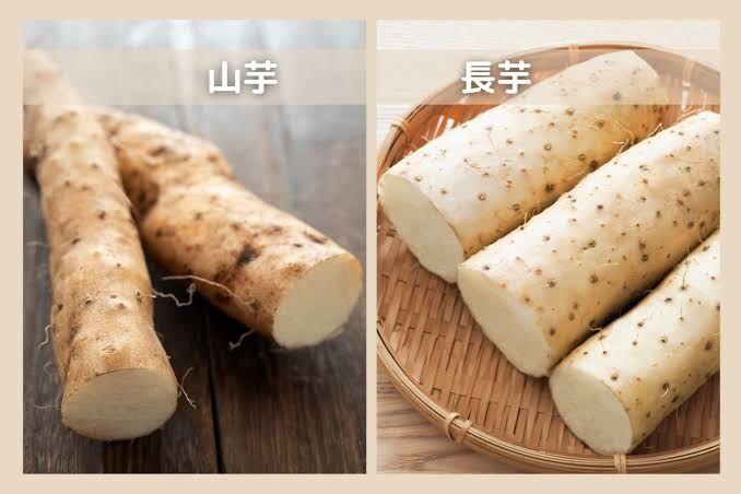 違いが分からないものを書くと、詳しい人が教えてくれるトピ