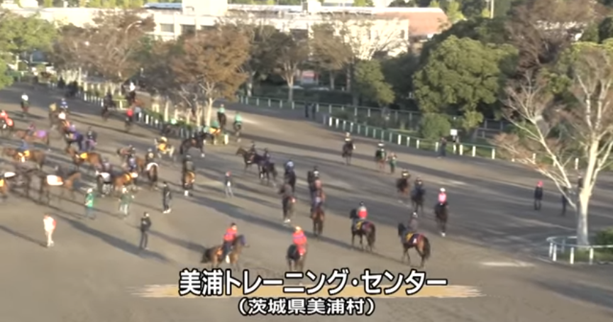 茨城県について知ってること