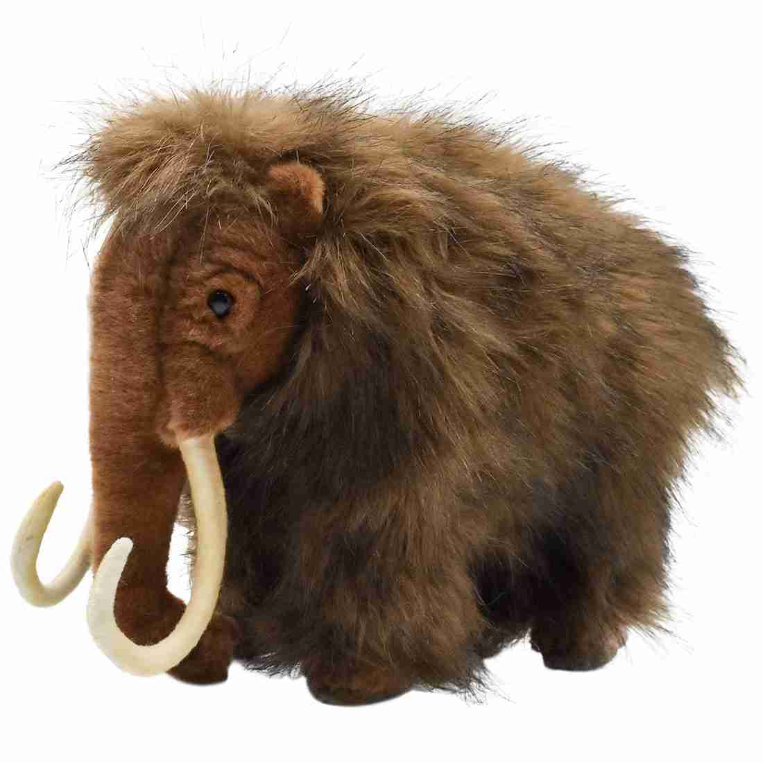 マンモス校のメリット