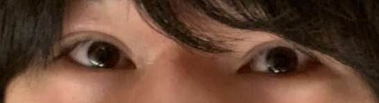 目元だけで有名人を当ててみましょう。