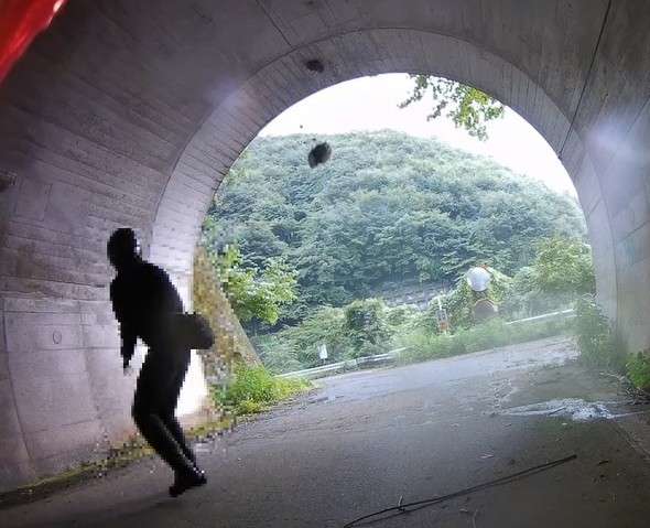 スズメバチの巣を「投石」で破壊→バイクで逃走　SNSで投稿拡散…　市は注意喚起「とても危険」
