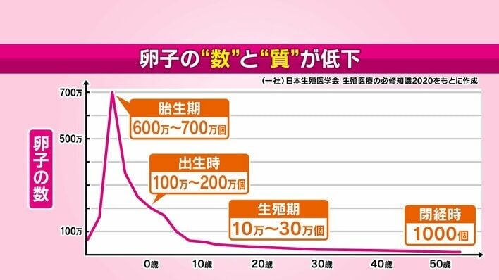 卵子の数は月に約1000個減少＆自然流産の確率は40代では40％以上…年齢とともにリスクが高まる高齢出産と卵子凍結のリアルを専門家が解説