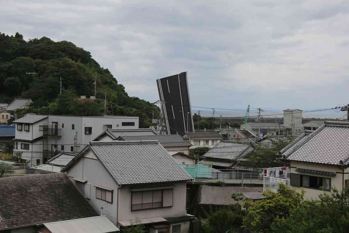 嘘みたいな本当の画像トピ