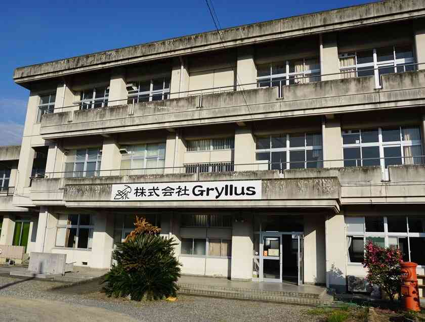 破産した「食用コオロギ」ベンチャー企業の社長が明かす“SNS炎上騒動”の全真相　それでも「リベンジ」を誓うワケ