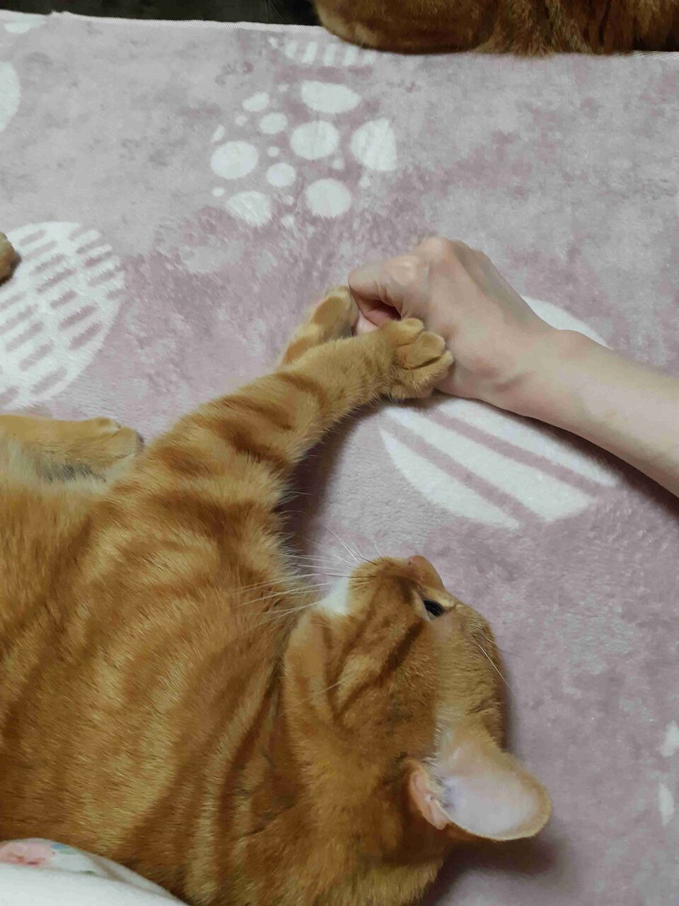 今、隣にいるのは誰️