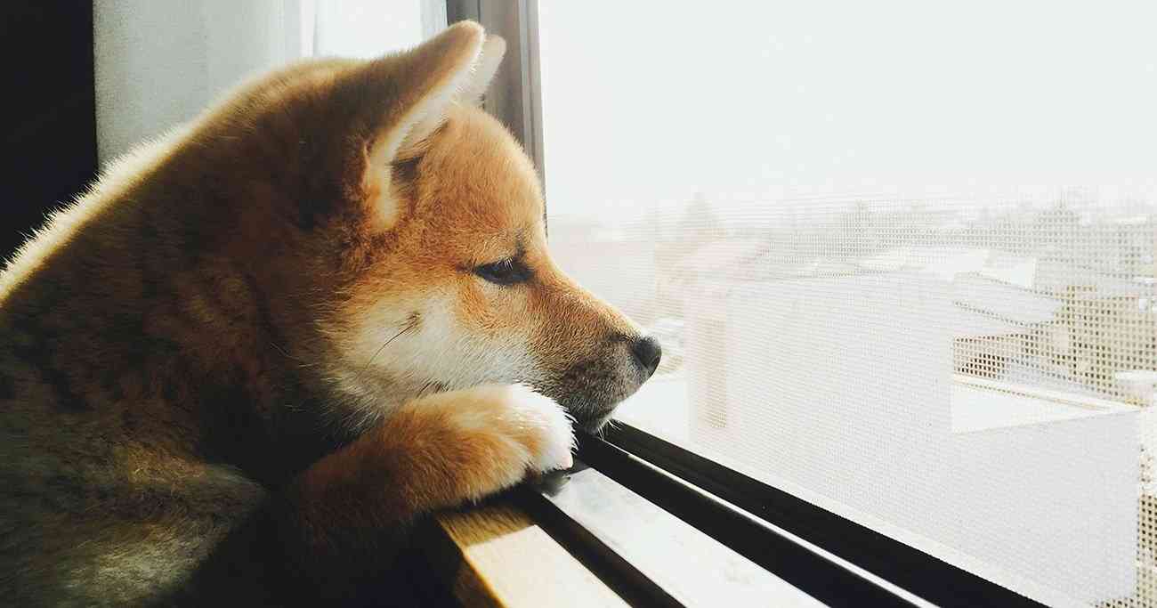 一度でもうちの嫁が、とかうちの主人がとか呼んだり呼ばれたりされてみたい