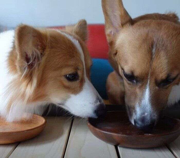 他人に言われたくない一言