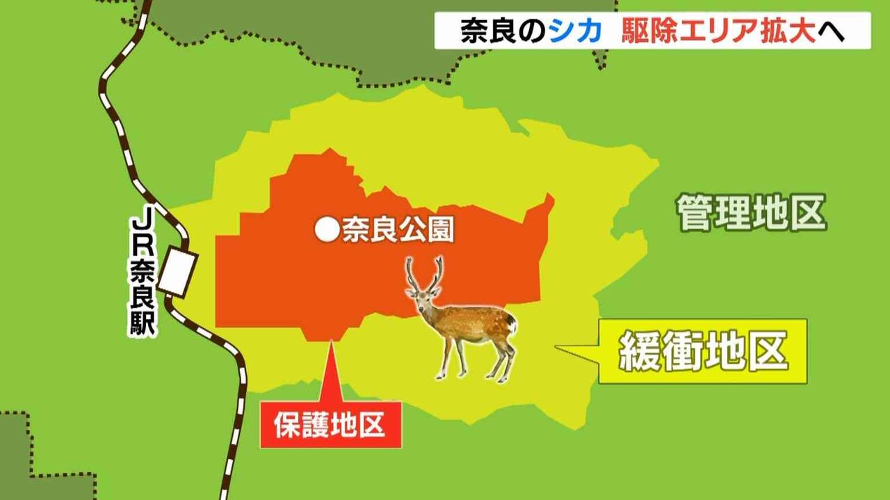 奈良のシカ『保護対象だったエリア』でも駆除方針　シカ増加で収容能力を超えていると指摘あり