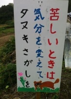 気が抜ける画像を貼っていこうよ