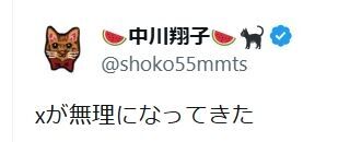 中川翔子、未明の「Xが無理になってきた」つぶやきに心配の声