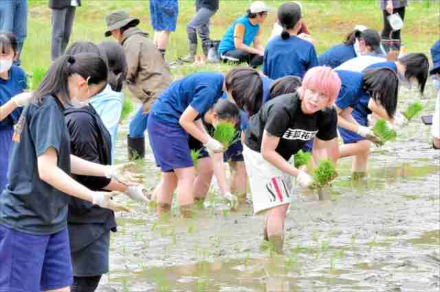 手越祐也さん、子どもたちと田植え　「福島のおいしい農産物伝えたい」　福島県郡山市