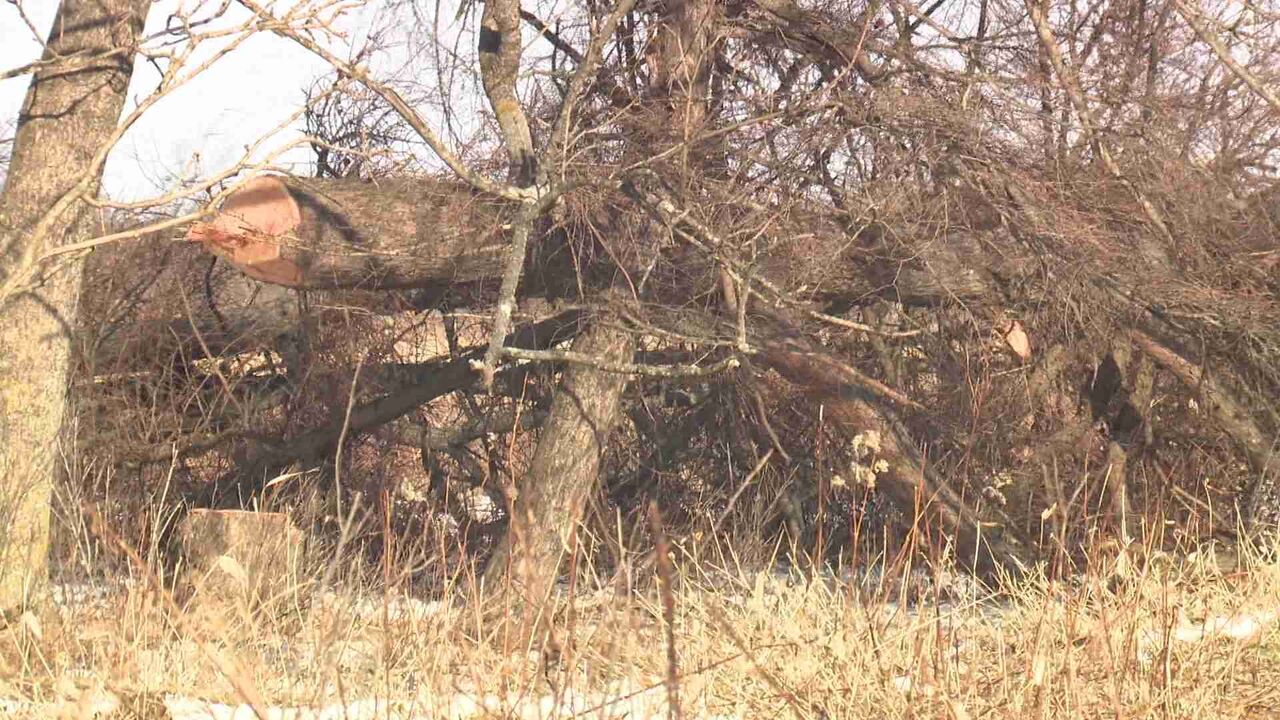 【釧路メガソーラー】「工事行います」予告通り建設工事強行　住宅地に響くチェーンソーの騒音！　反対押し切った会社側に町内会は「そこまでするのか！」