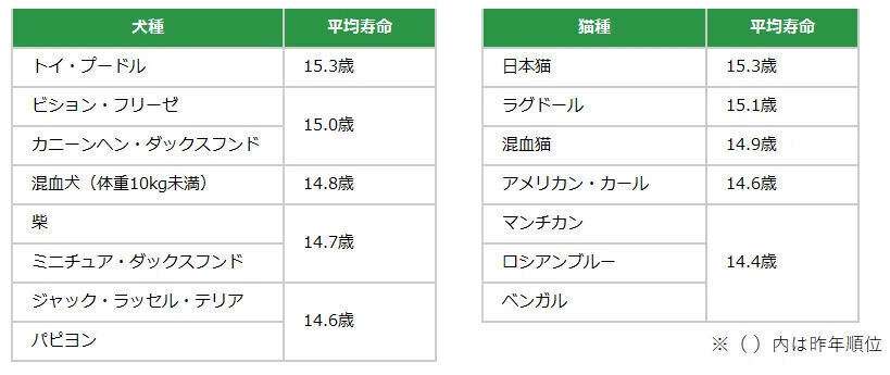 犬・猫の平均寿命は何歳? 最も長寿な犬種は「トイ・プードル」猫種は「日本猫」平均15.3歳 - アニコム調査