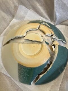 購入した日に壊してしまった悔しさと悲しさを聞いてもらうトピ