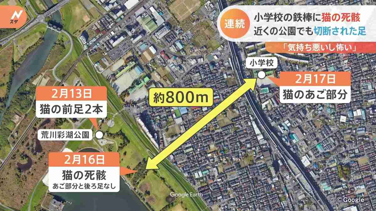 猫の“死骸”が小学校の鉄棒に　近くの公園でも切断された足が　さいたま市