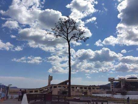 東日本大震災から13年