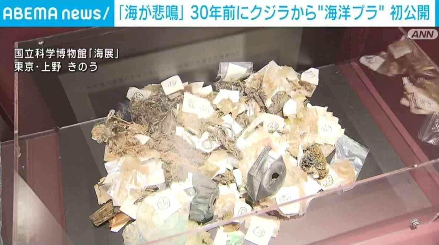 「海が悲鳴を上げている」 30年前にクジラの中から見つかった“海洋プラスチック”初公開