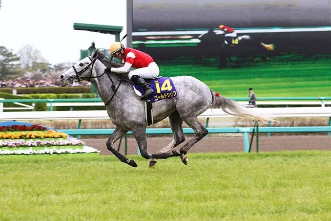 縁起よく午の画像あつめてみたい